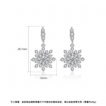 Bridal-jewelry-Cubic-Zircon-Earrings-E1457