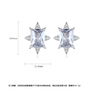 Bridal-jewelry-Cubic-Zircon-Earrings-E1468