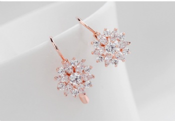Bridal-jewelry-Cubic-Zircon-Earrings-E1488
