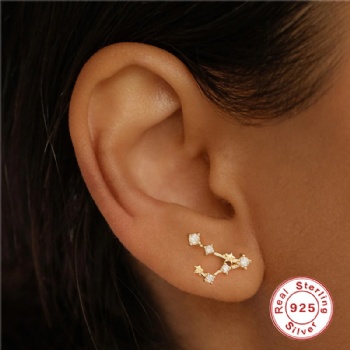 Fashion-Sterling-Silver--Earrings--NE70
