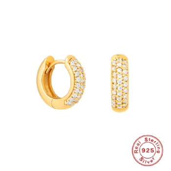 Fashion-Sterling-Silver--Earrings--NE72