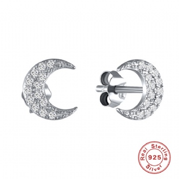 Fashion-Sterling-Silver--Earrings--NE87