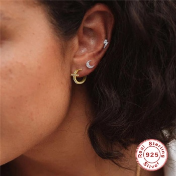 Fashion-Sterling-Silver--Earrings--NE87