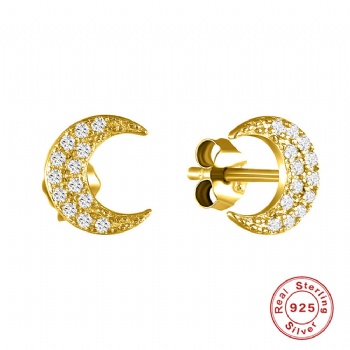Fashion-Sterling-Silver--Earrings--NE87