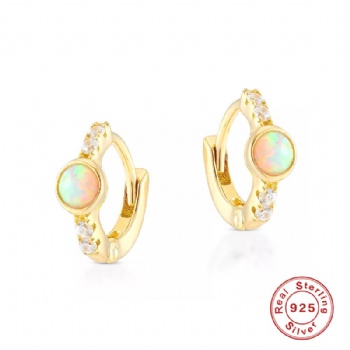 Fashion-Sterling-Silver--Earrings--NE94