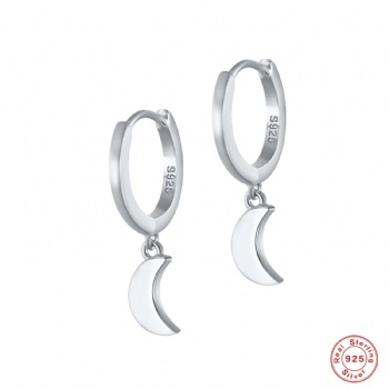 Fashion-Sterling-Silver--Earrings--NE110