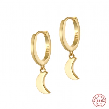 Fashion-Sterling-Silver--Earrings--NE110