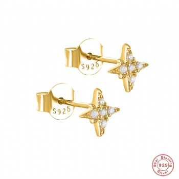 Fashion-Sterling-Silver--Earrings--NE111
