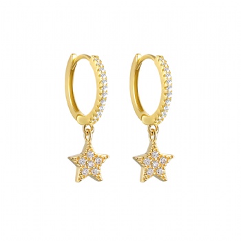 Fashion-Sterling-Silver--Earrings--NE112