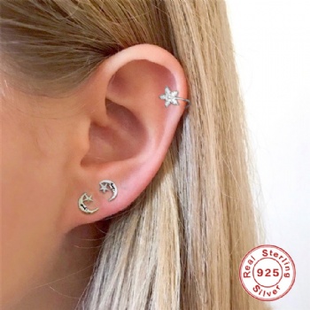 Fashion-Sterling-Silver--Earrings--NE113