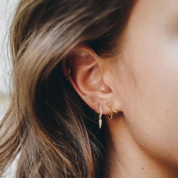 Fashion-Sterling-Silver- Earrings -NE50