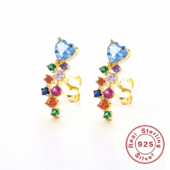 Fashion-Sterling-Silver- Earrings -NE56
