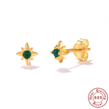 fashion sterling silver earrings   NE2308