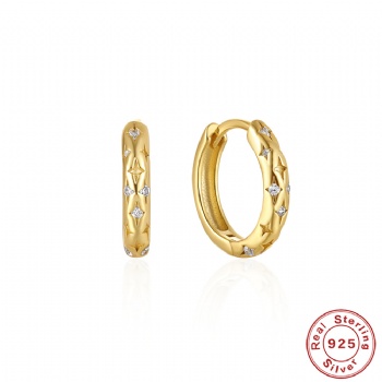 fashion sterling silver earrings   NE2309