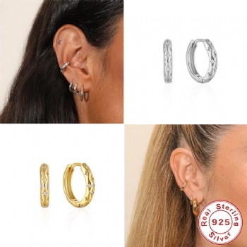 fashion sterling silver earrings   NE2309
