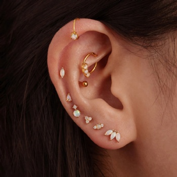 fashion-sterling-silver-earrings- NE2312