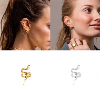 -fashion-sterling-silver-earrings-NE2325