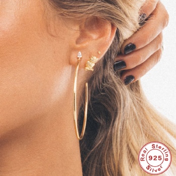 -fashion-sterling-silver-earrings-NE2336