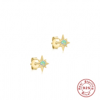 -fashion-sterling-silver-earrings-NE2346