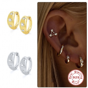 fashion sterling silver earrings   NE2313