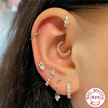 fashion sterling silver earrings   NE2314