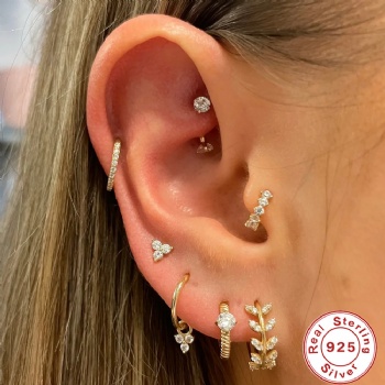 fashion sterling silver earrings   NE2314