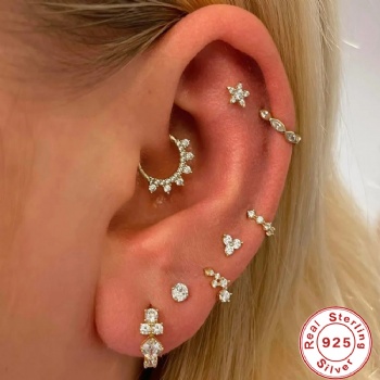 fashion sterling silver earrings   NE2314