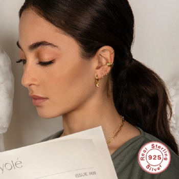Fashion-Sterling-Silver-  Earrings  -NE2364