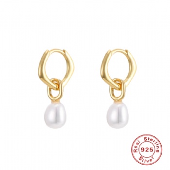 Fashion-Sterling-Silver--Earrings--NE2367