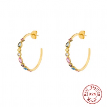 Fashion-Sterling-Silver-  Earrings  -NE2370