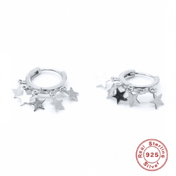 Fashion-Sterling-Silver-  Earrings  -NE2374