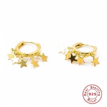 Fashion-Sterling-Silver-  Earrings  -NE2374