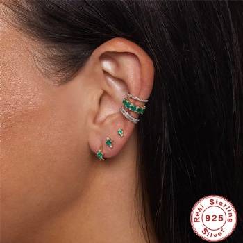 Fashion-Sterling-Silver-  Earrings  -NE2383