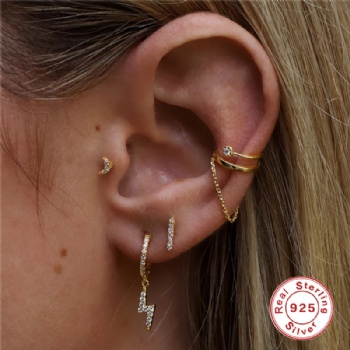 Fashion-Sterling-Silver-  Earrings  -NE2398