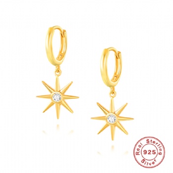 Fashion-Sterling-Silver- Earrings -NE19