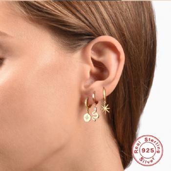 Fashion-Sterling-Silver- Earrings -NE19