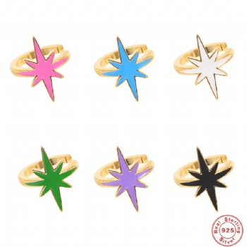 Fashion-Sterling-Silver- Earrings -NE21