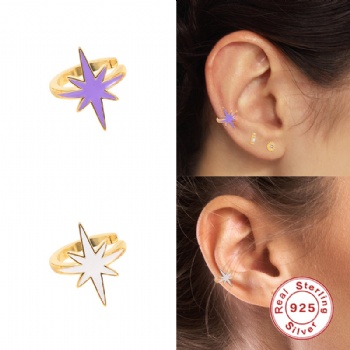Fashion-Sterling-Silver- Earrings -NE21