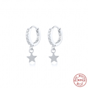 Fashion-Sterling-Silver- Earrings -NE23