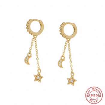 Fashion-Sterling-Silver- Earrings -NE25