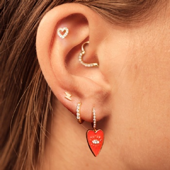 Fashion-Sterling-Silver- Earrings -NE31