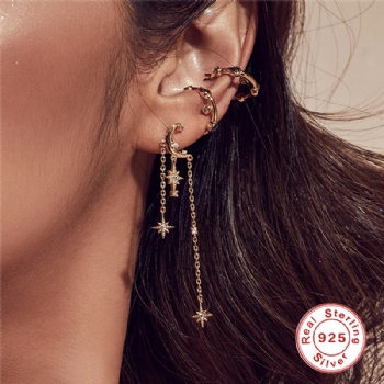 Fashion-Sterling-Silver- Earrings -NE34