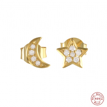 Fashion-Sterling-Silver- Earrings -NE43
