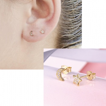 Fashion-Sterling-Silver- Earrings -NE43