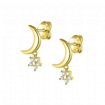 Fashion-Sterling-Silver- Earrings -NE45