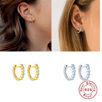 Fashion-Sterling-Silver- Earrings -NE46