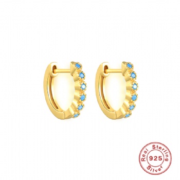 Fashion-Sterling-Silver- Earrings -NE46