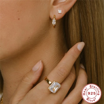 Fashion-Sterling-Silver- Earrings -NE05