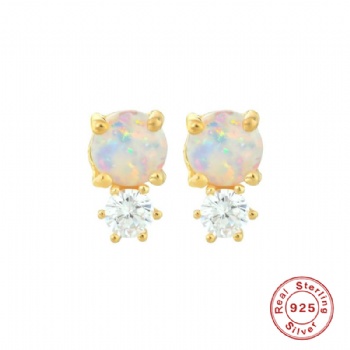 Fashion-Sterling-Silver- Earrings -NE09