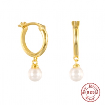 Fashion-Sterling-Silver- Earrings -NE13